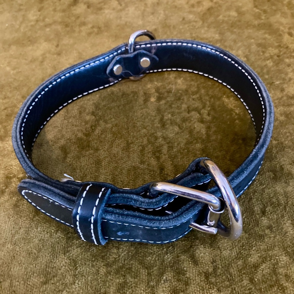 Black Leather 24 in Collar
